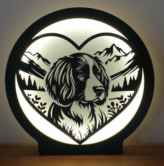 3D Printed Lamps
